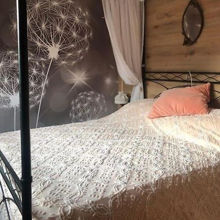 Holiday Guesthouse La Casina Di Butzi Pet Friendly - Terme Di Arta - Zoncolan Arta Terme Zewnętrze zdjęcie