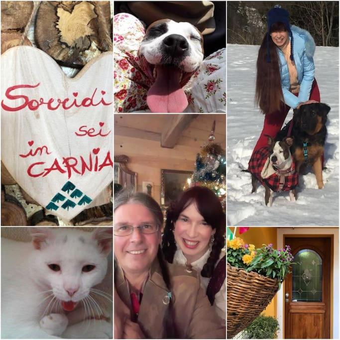 Holiday Guesthouse La Casina Di Butzi Pet Friendly - Terme Di Arta - Zoncolan Arta Terme Zewnętrze zdjęcie
