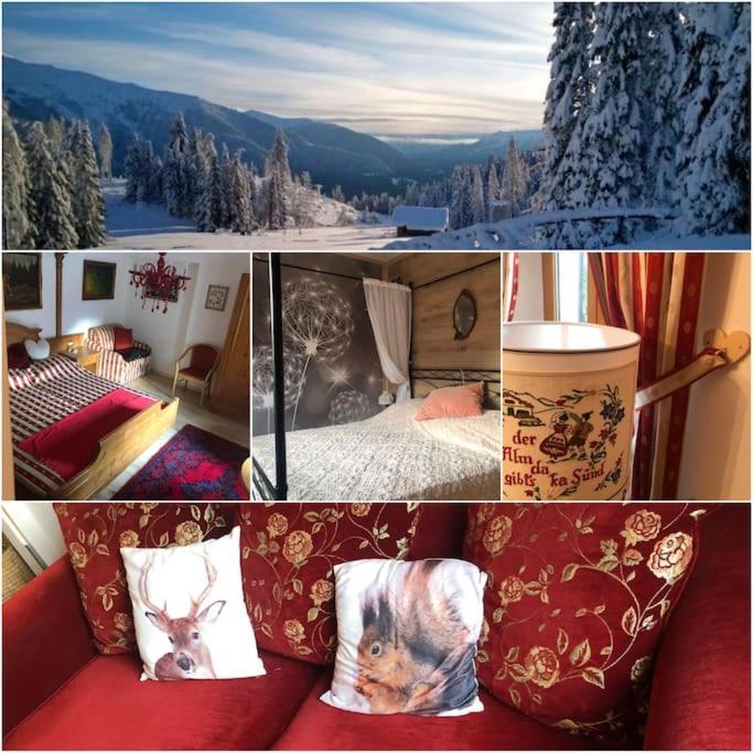 Holiday Guesthouse La Casina Di Butzi Pet Friendly - Terme Di Arta - Zoncolan Arta Terme Zewnętrze zdjęcie