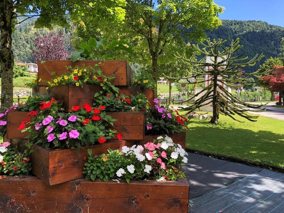 Holiday Guesthouse La Casina Di Butzi Pet Friendly - Terme Di Arta - Zoncolan Arta Terme Zewnętrze zdjęcie
