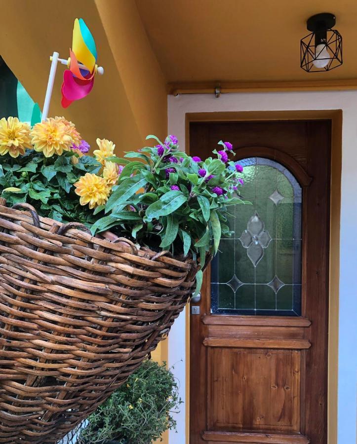 Holiday Guesthouse La Casina Di Butzi Pet Friendly - Terme Di Arta - Zoncolan Arta Terme Zewnętrze zdjęcie