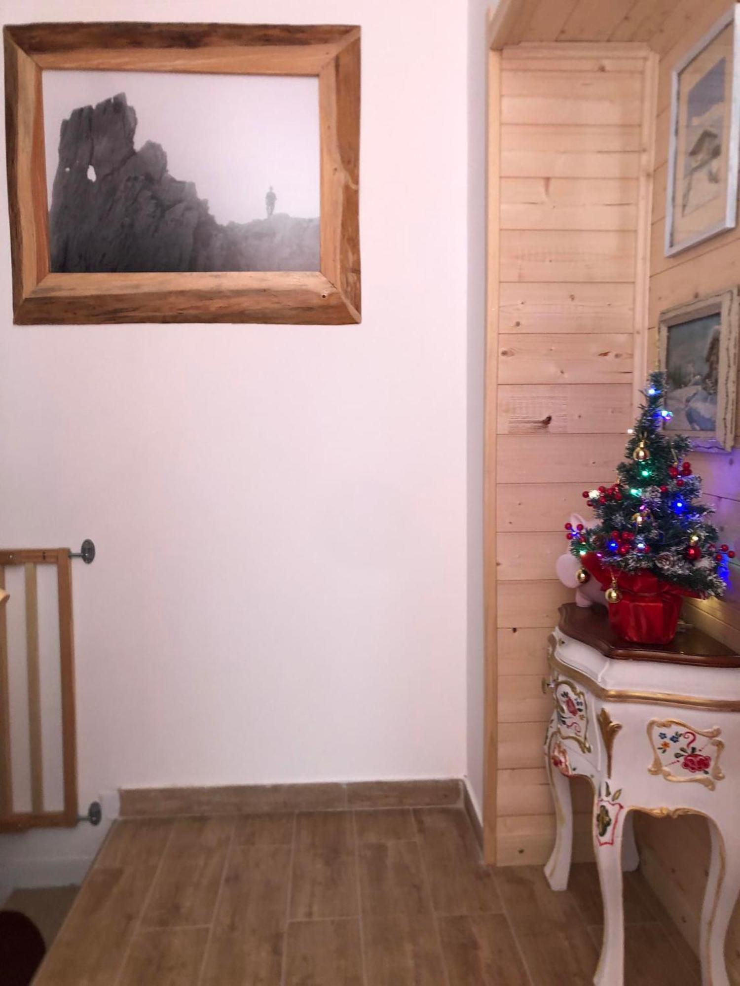 Holiday Guesthouse La Casina Di Butzi Pet Friendly - Terme Di Arta - Zoncolan Arta Terme Zewnętrze zdjęcie
