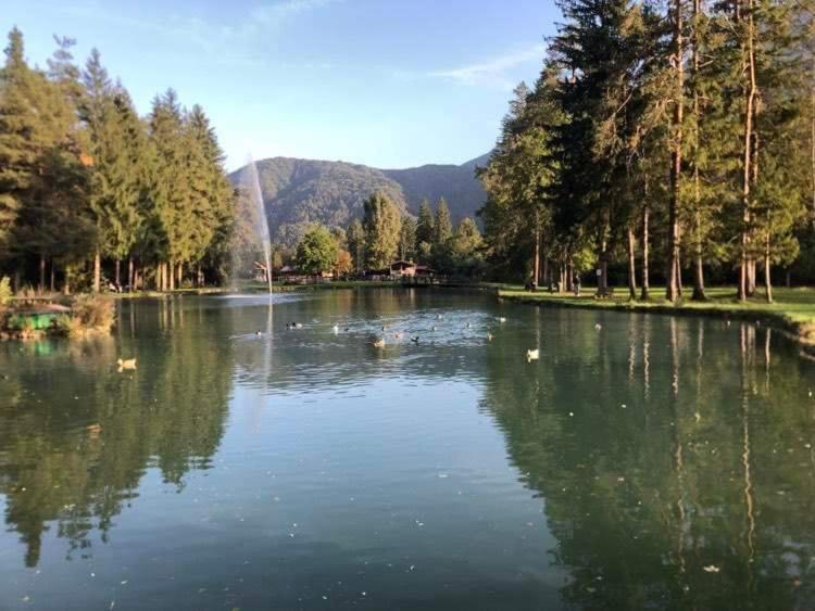 Holiday Guesthouse La Casina Di Butzi Pet Friendly - Terme Di Arta - Zoncolan Arta Terme Zewnętrze zdjęcie